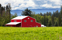 red barn